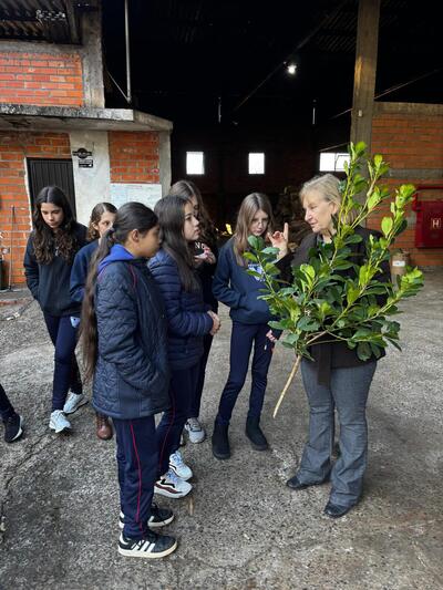 Projeto leva alunos para vivenciar a rotina de uma indústria de erva-mate em Laranjeiras do Sul – PR